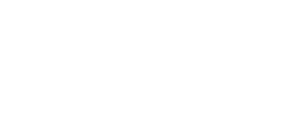 NAVIGATOR