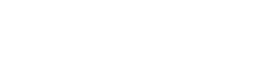 Navipro
